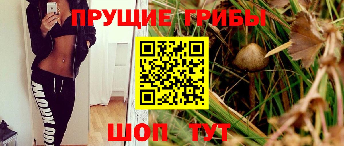 сколько стоит  Вход с VPN  Донской  Псилоцибиновые грибы Cubensis  Галлюциногенные грибы MAGIC MUSHROOMS 